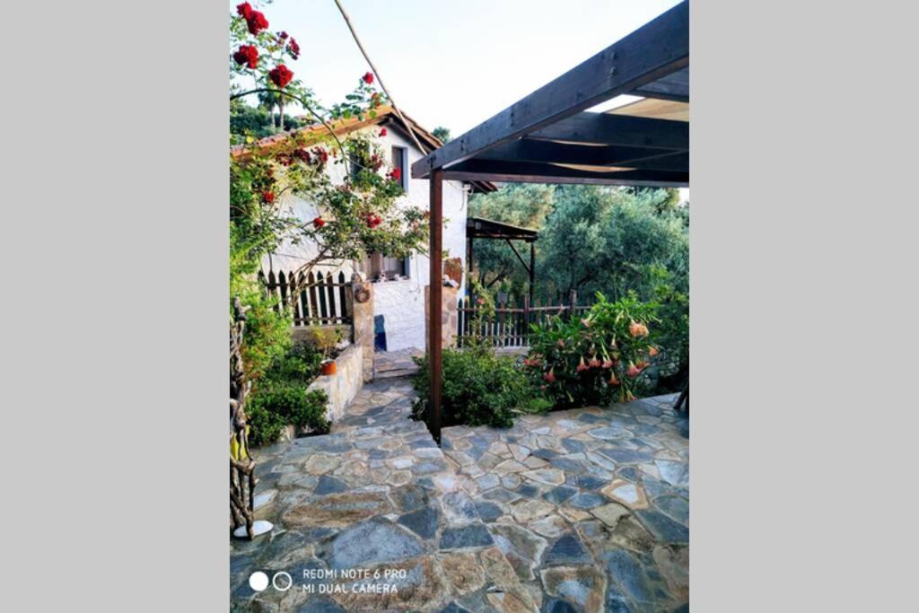 Lost Paradise Chorefton Exterior foto